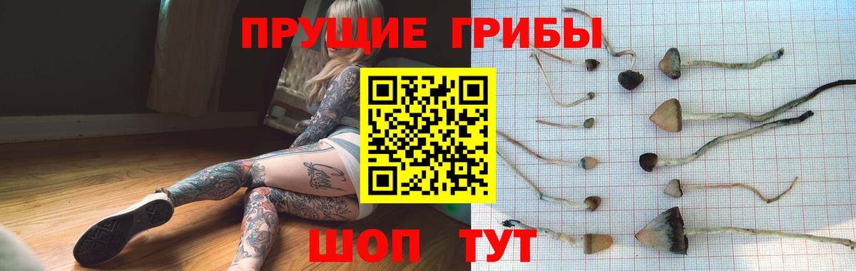 Галлюциногенные грибы Cubensis  Вход с VPN  Лангепас 
